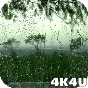 4K Rain Video Wallpaper