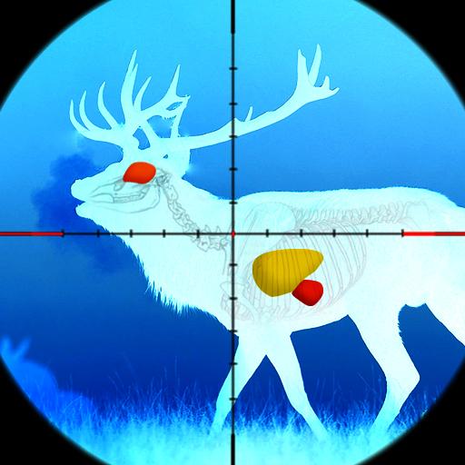 2019 Deer hunting