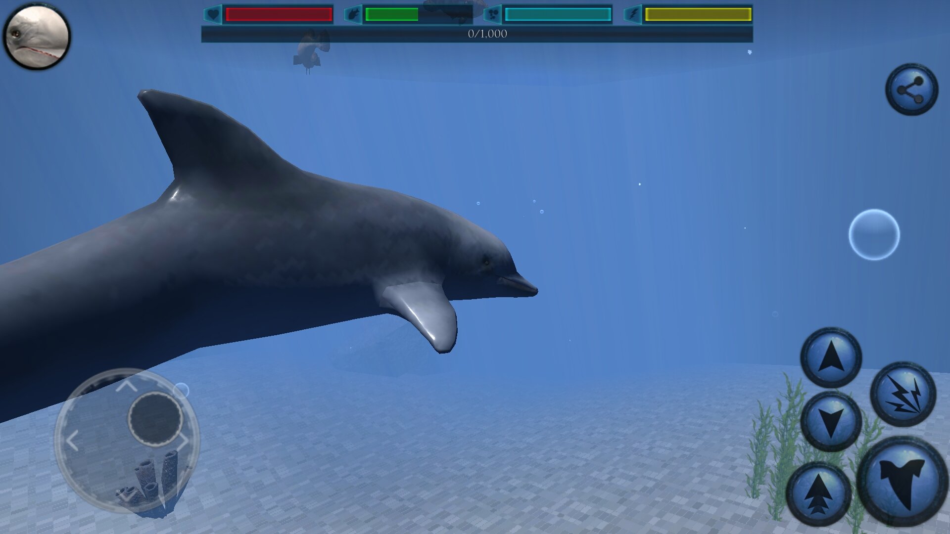 Игру симулятор кита. Ultimate Ocean Simulator. Симуляторы Ultimate Ocean. Симулятор морского котика. Dolphin симулятор.